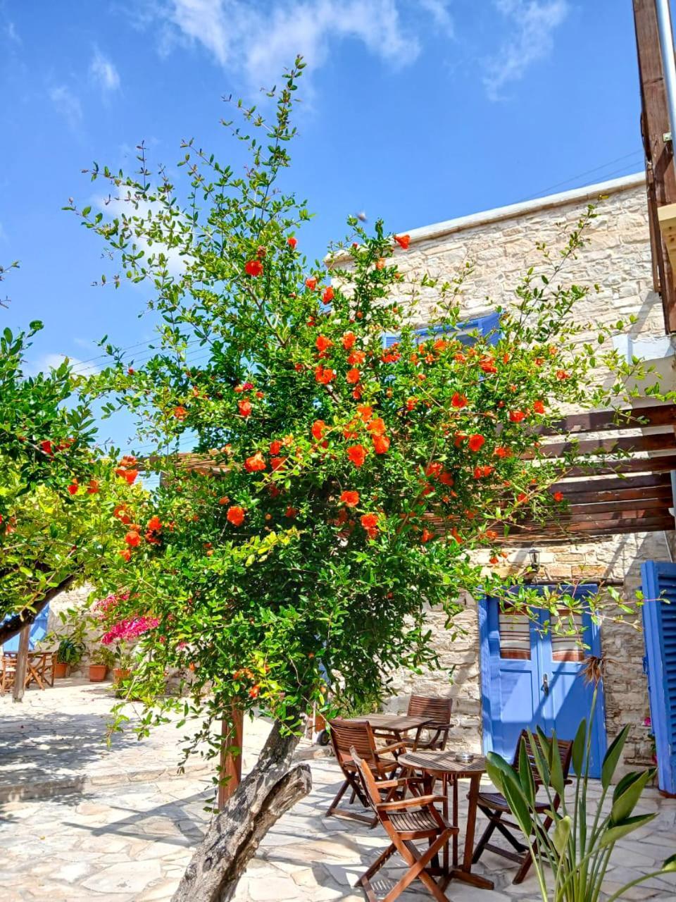 Athena'S Pool Oasis Leilighet Skarinou Eksteriør bilde